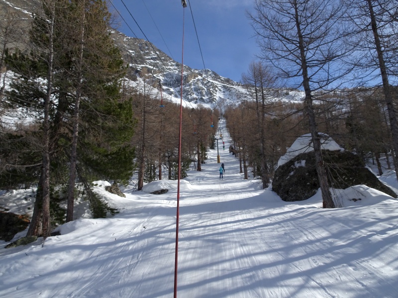 dsc035703njt8.jpg