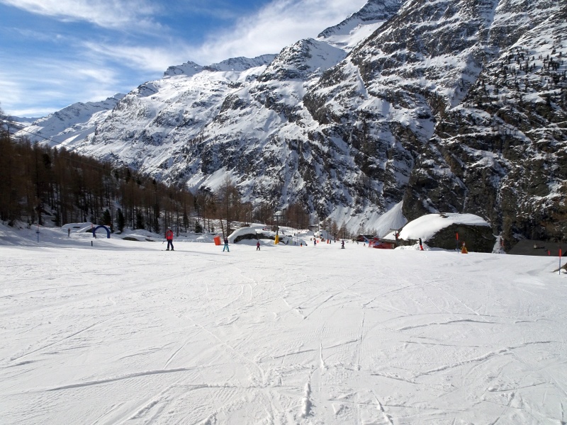 dsc035959ikgy.jpg