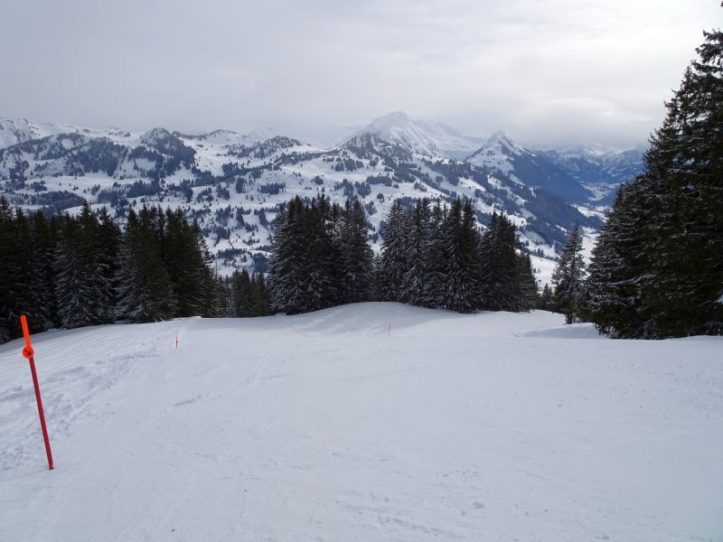 dsc036236tu75.jpg