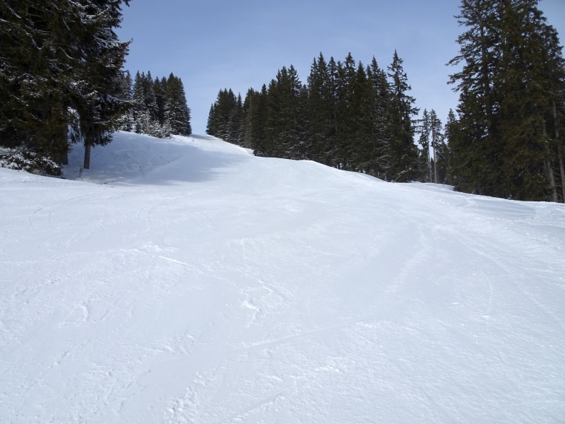 dsc03631hruz9.jpg