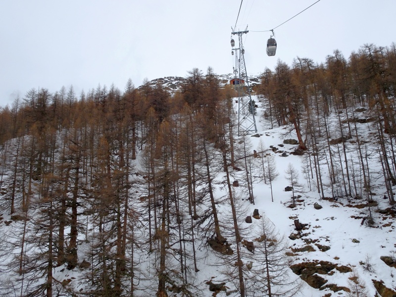 dsc03635ekjif.jpg