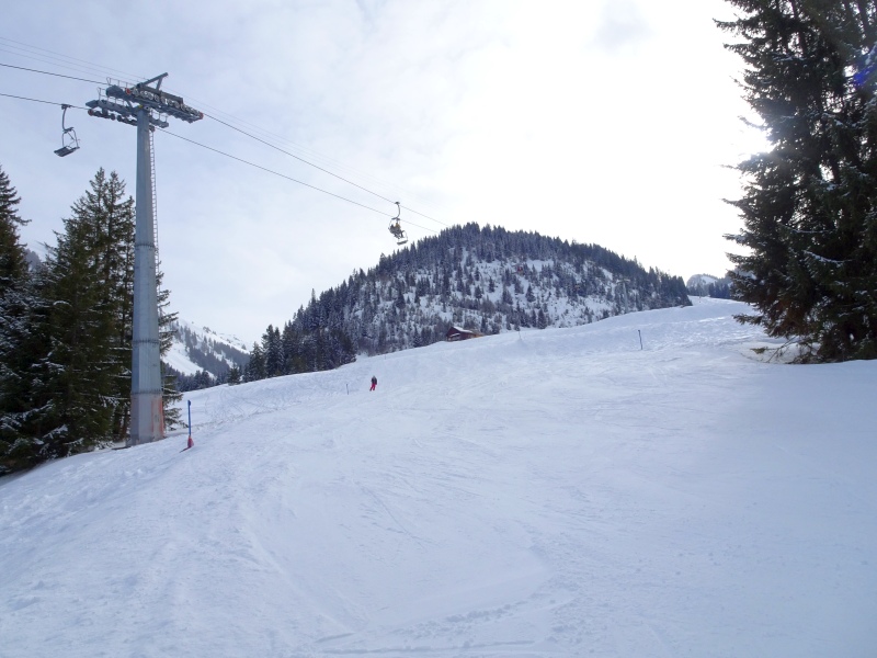 dsc03660gnukl.jpg