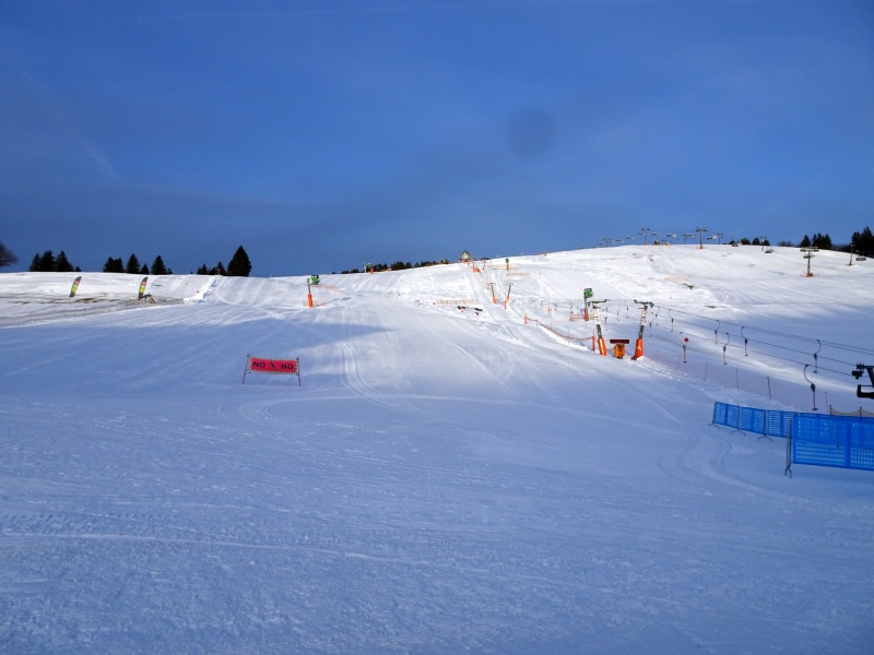dsc036727rjoq.jpg