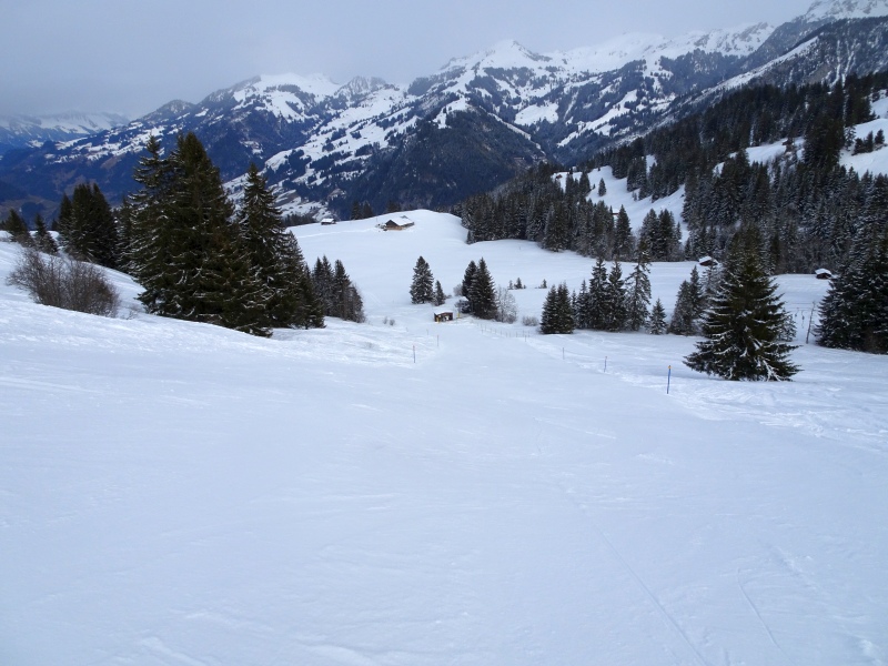 dsc037038du22.jpg