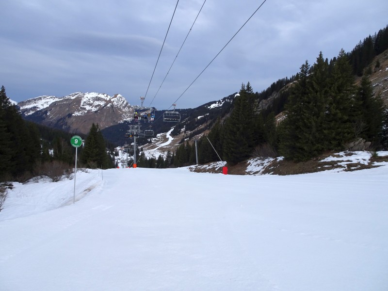 dsc037096mi0f.jpg