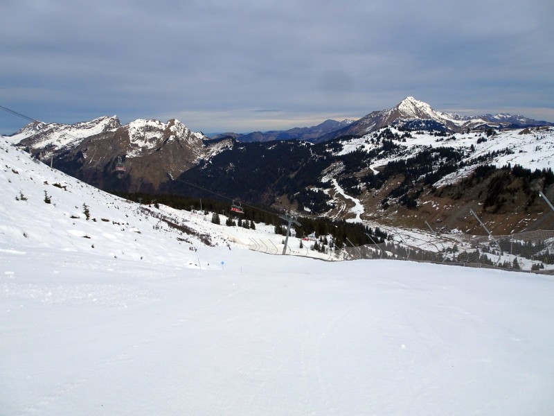 dsc03712m9fl0.jpg
