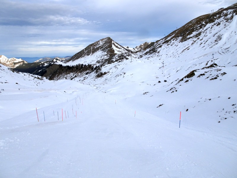dsc0372429eqd.jpg