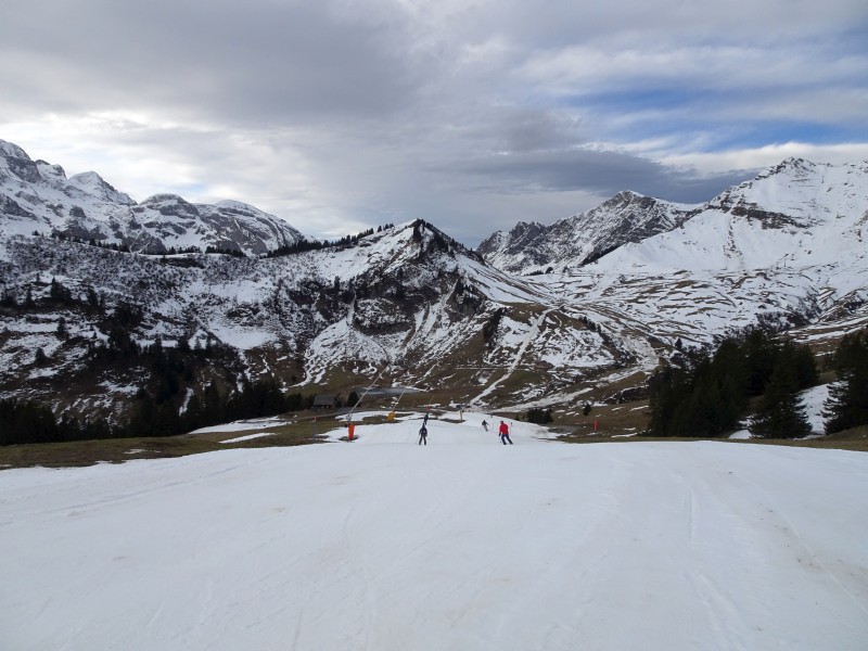 dsc03745ftdtj.jpg