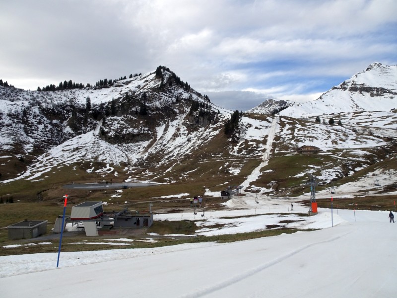 dsc03746yqcqg.jpg