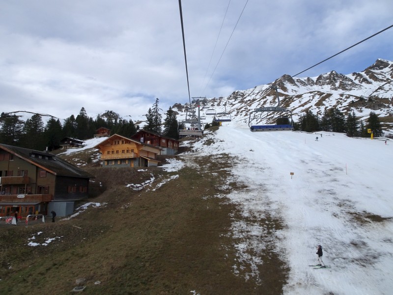dsc03755y8d79.jpg
