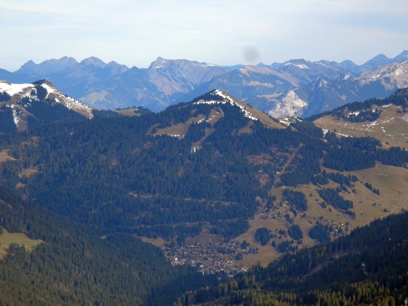 dsc03765wldyi.jpg