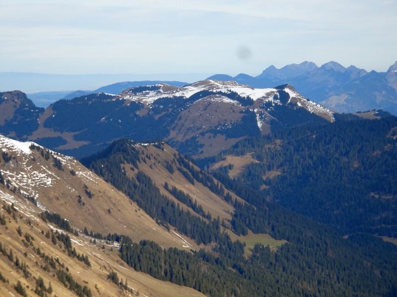 dsc03766rviag.jpg