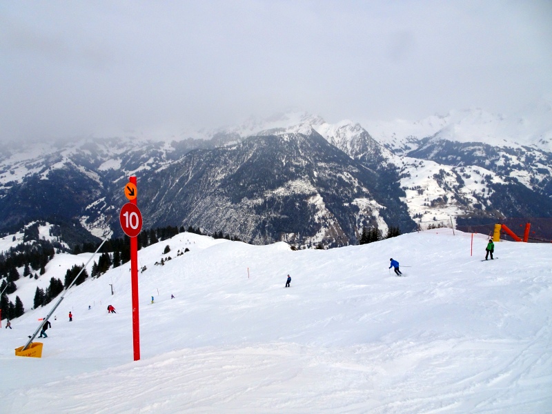 dsc03769cfut3.jpg