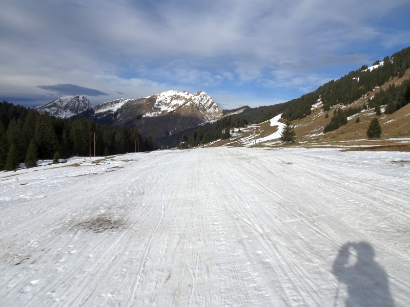 dsc03770gaizr.jpg