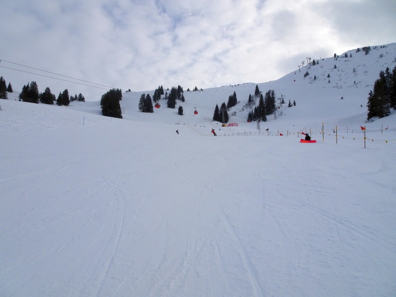dsc03779rau1k.jpg