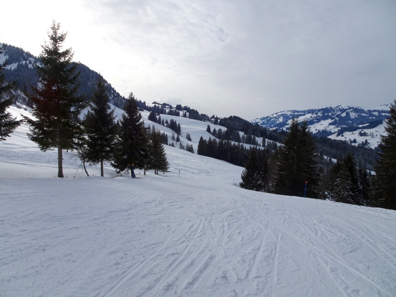 dsc03789j2udo.jpg