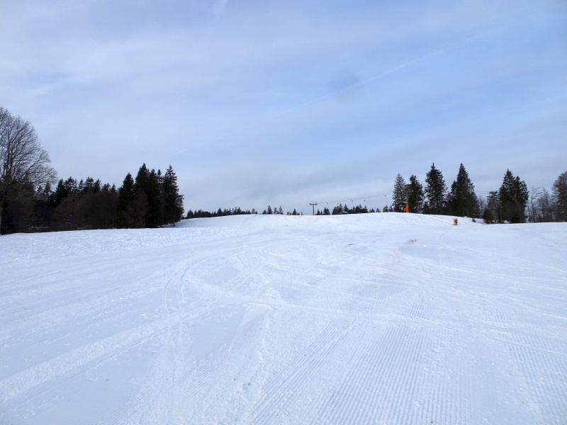 dsc038172gjvs.jpg