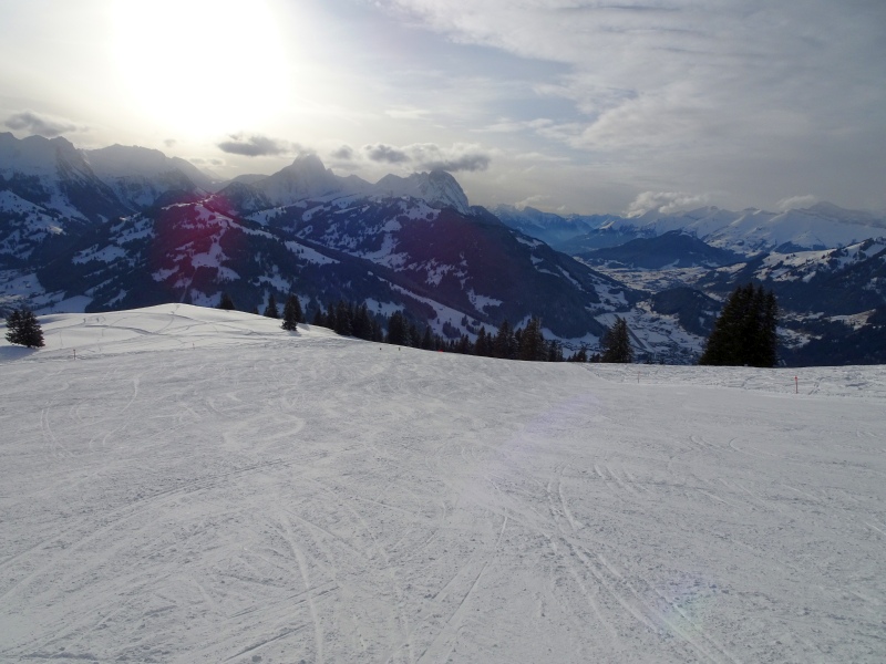 dsc03820luuy6.jpg