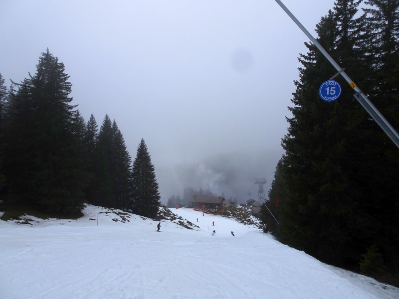 dsc03829u8d6a.jpg