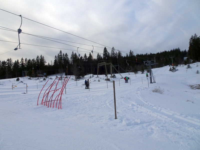 dsc03830z5jjd.jpg