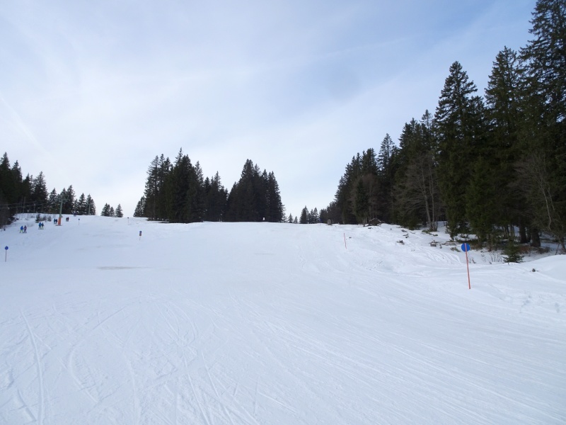 dsc03886l5jg4.jpg