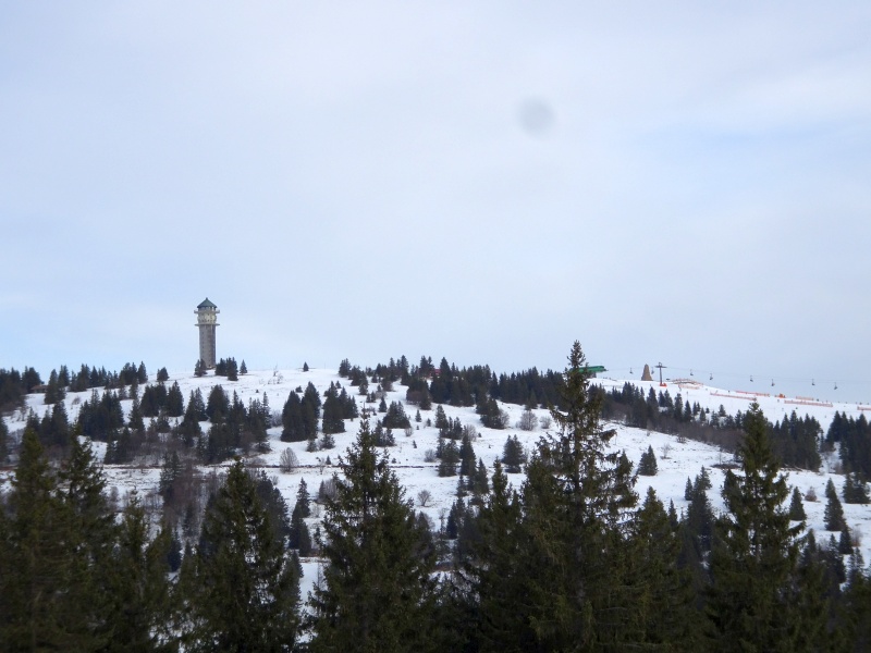 dsc03888xvjow.jpg