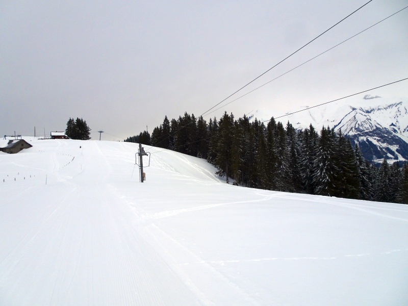 dsc03920psuwz.jpg