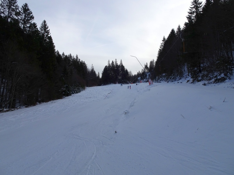 dsc039279jjpl.jpg