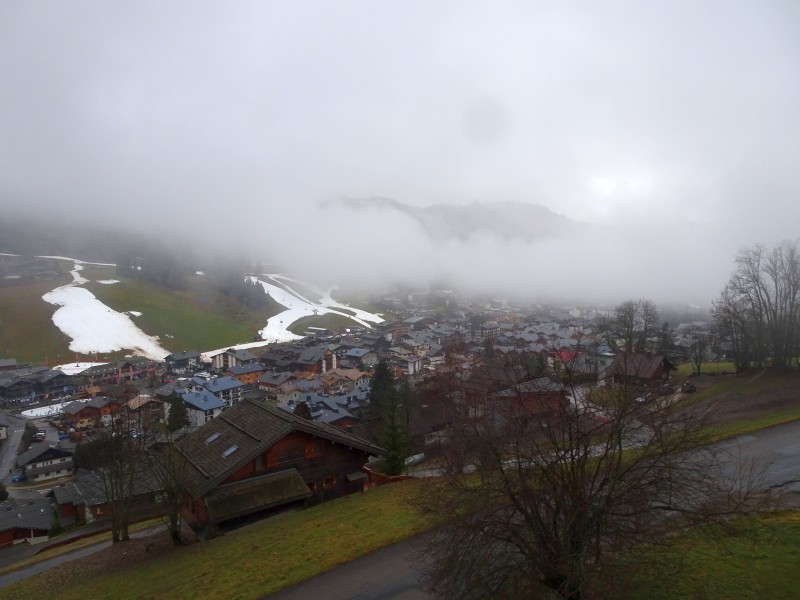 dsc03931x3e41.jpg