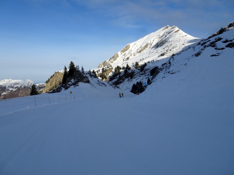 dsc039516iinn.jpg