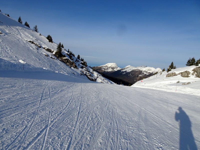 dsc03953jvik7.jpg