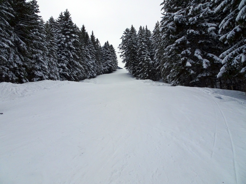 dsc03971stu8g.jpg