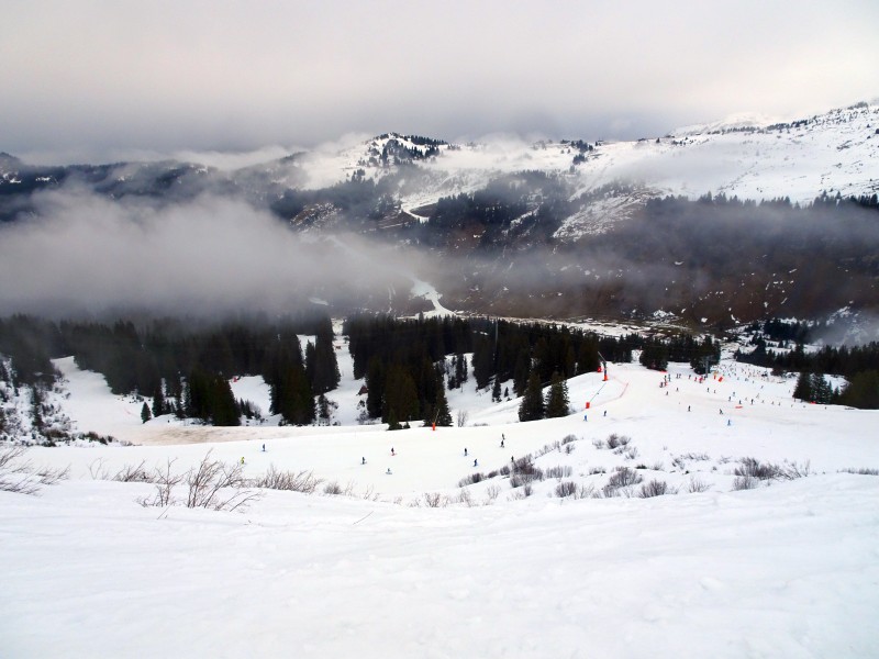 dsc03976jxd02.jpg