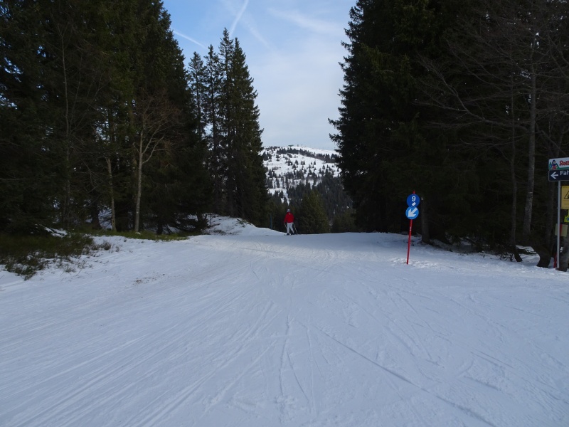 dsc04001qgkvv.jpg