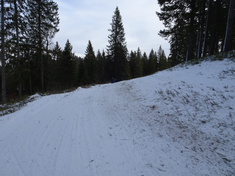 dsc04005duj2b.jpg