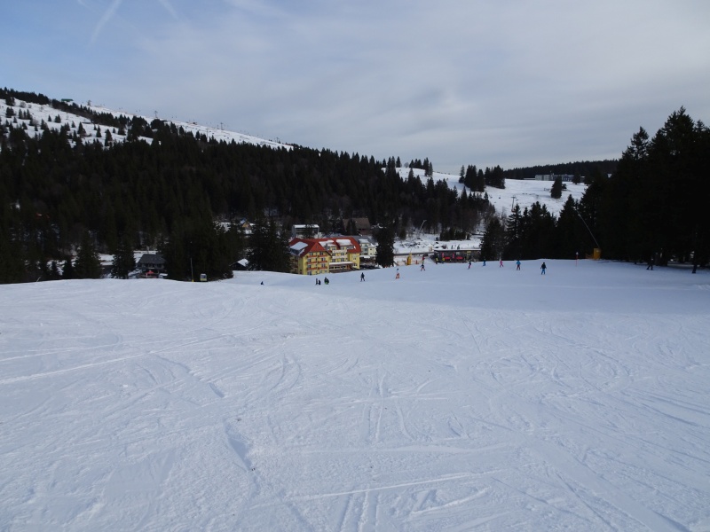 dsc040075wj8f.jpg