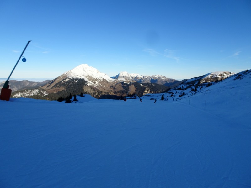 dsc04007l4imq.jpg