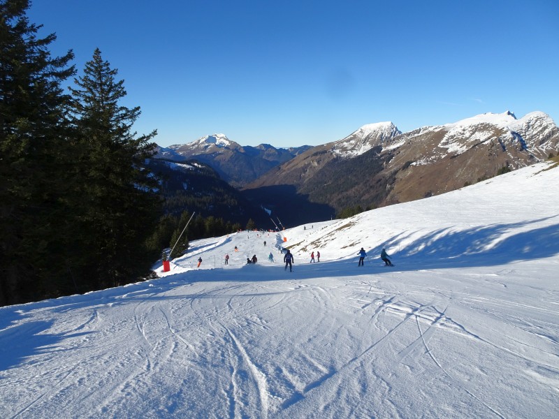 dsc04017v3ff2.jpg