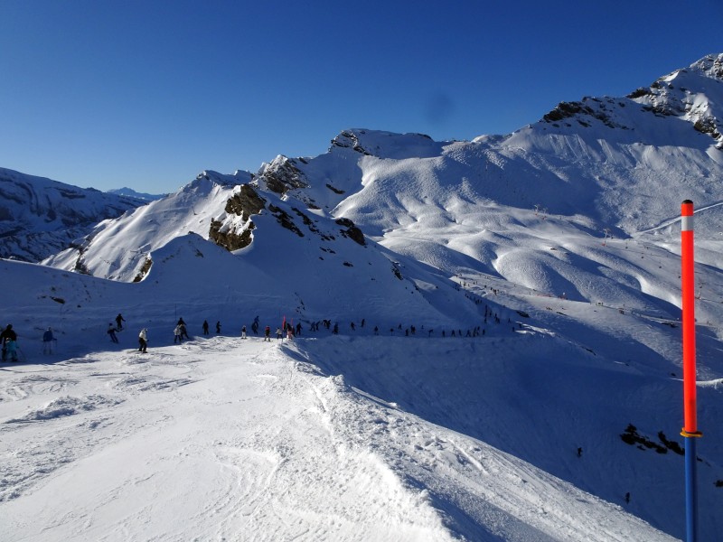dsc040346mchm.jpg
