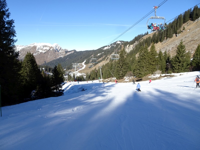 dsc04036dzcp9.jpg