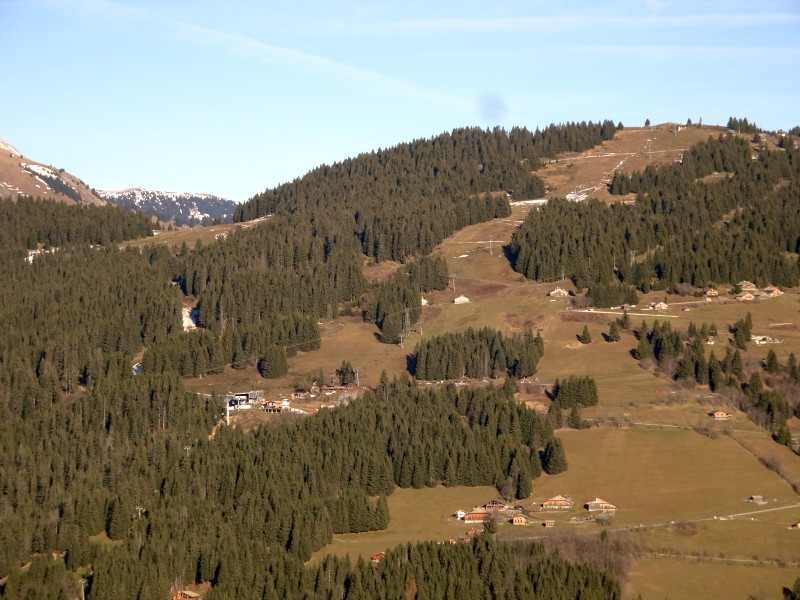 dsc040816gczn.jpg