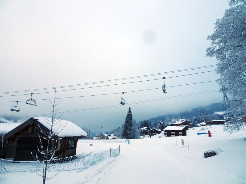 dsc04106oofqc.jpg