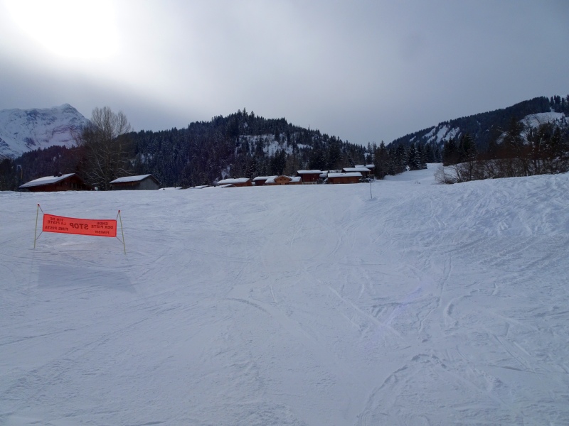 dsc04106rzupd.jpg