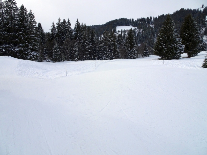 dsc04125d2udw.jpg