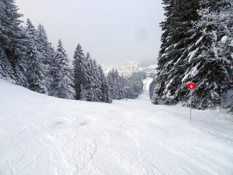 dsc04153b0cze.jpg