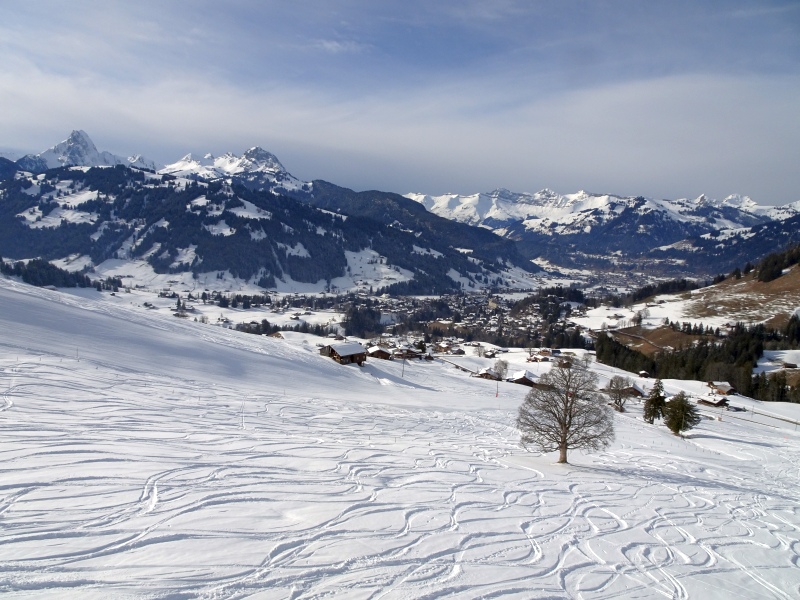 dsc04172trucm.jpg