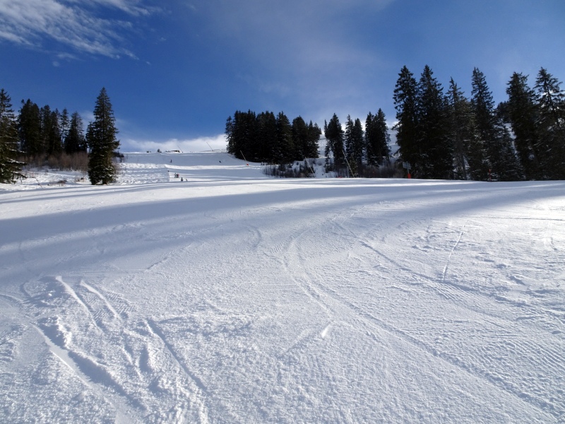 dsc04204h2uuw.jpg