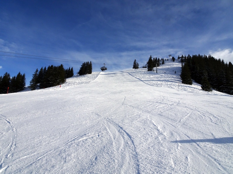 dsc042162vu86.jpg