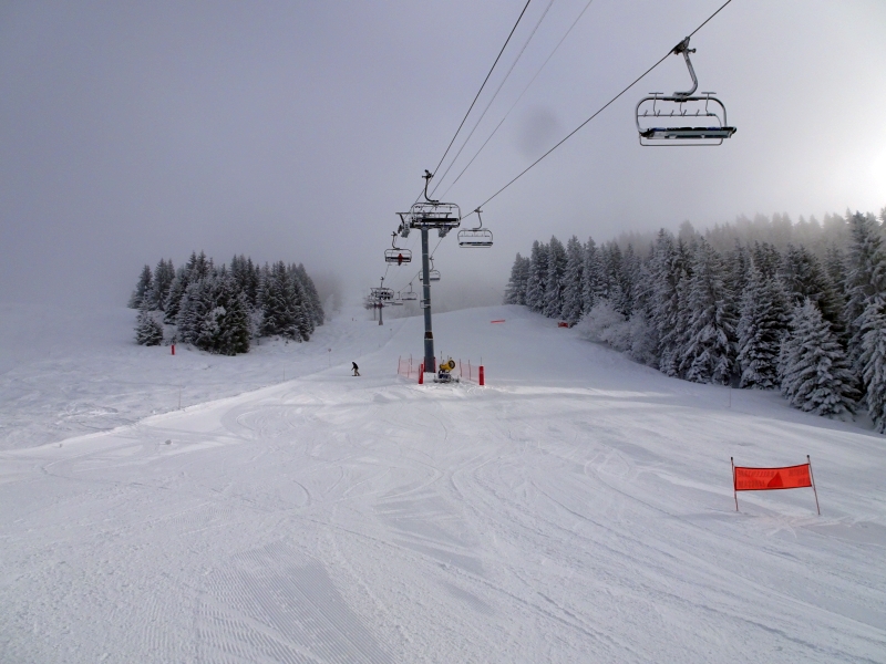dsc0423347iyn.jpg