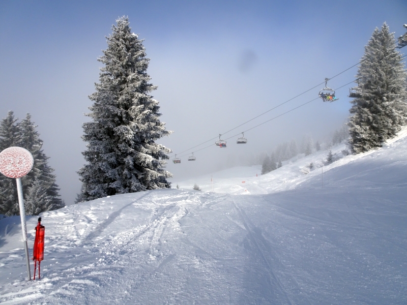 dsc04250y0e30.jpg